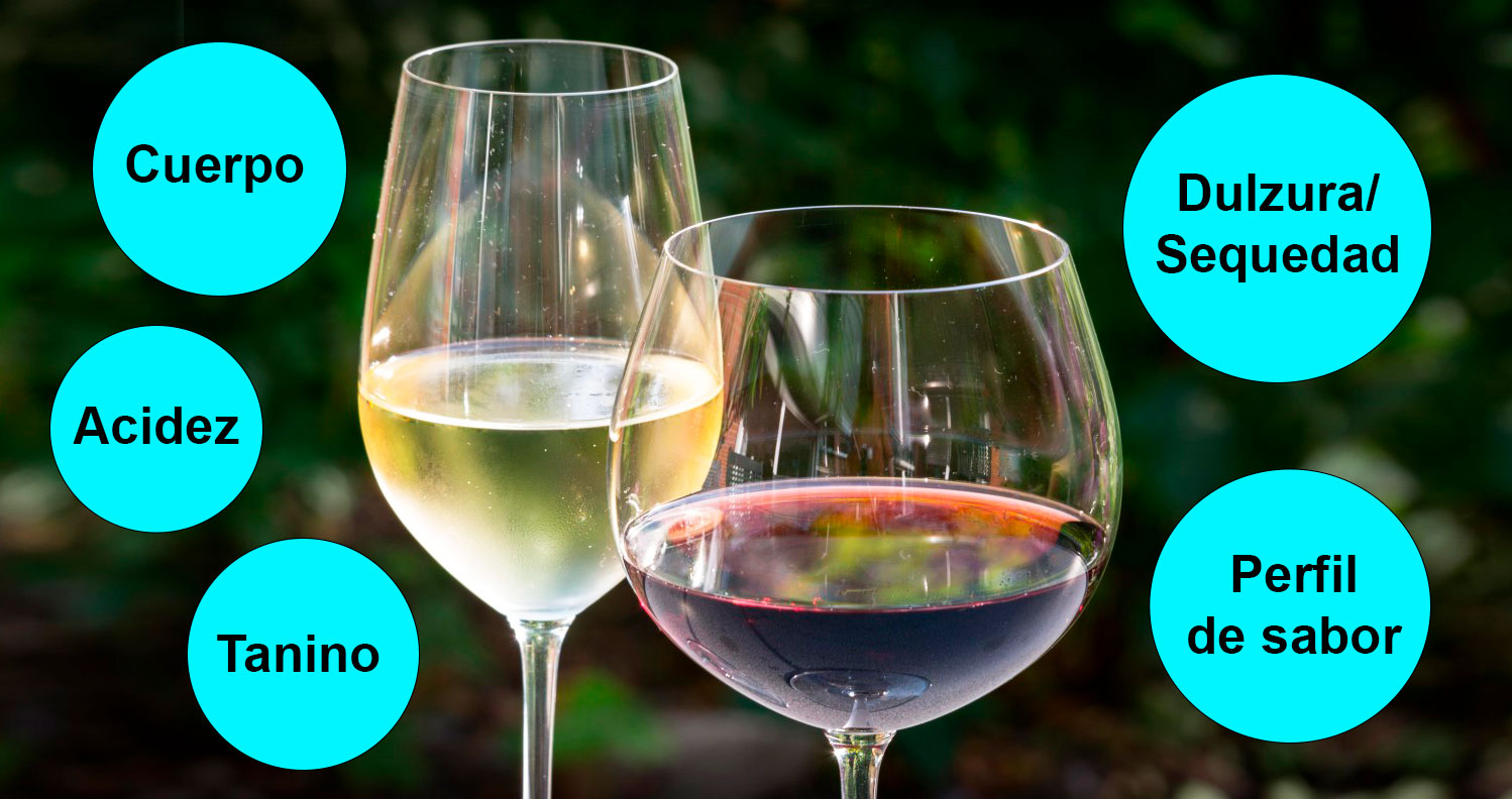 Aprende describir vinos de tu restaurante como un experto - SGIdrinks