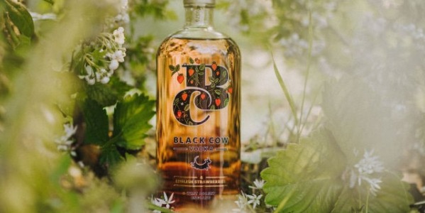 Black Cow, un Vodka diferente