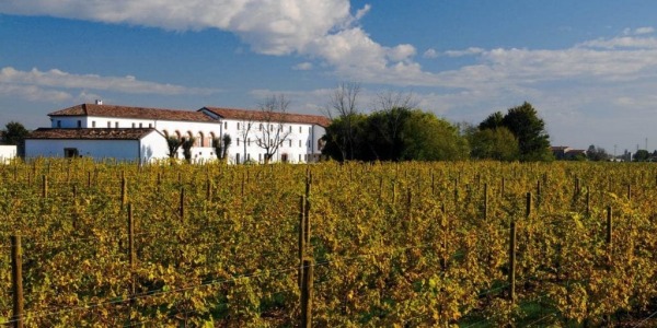 Bodega Prosecco Spa, calidad italiana