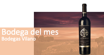 Bodega del Mes Bodegas Vilano